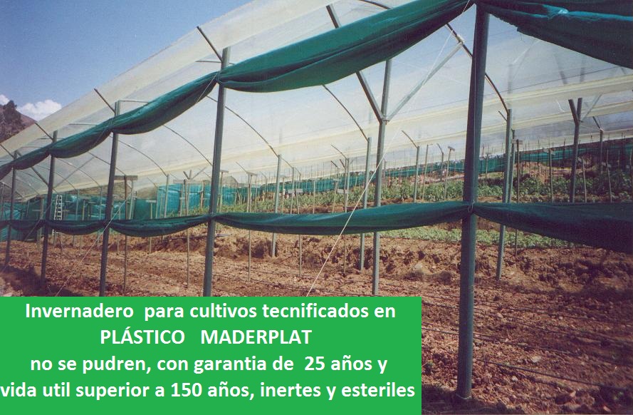 Invernadero para tomates en estructura de madera plástica maderplast invernadero en metal plástico invernadero de tomate vidrio plástico aluminio plástico invernadero de tomateras y tomates 005 Invernadero para tomates en estructura de madera plástica maderplast invernadero en metal plástico invernadero de tomate vidrio plástico aluminio plástico invernadero de tomateras y tomates 005